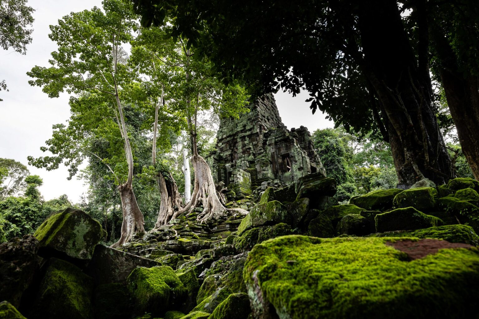 Cambodia-Angkortour4