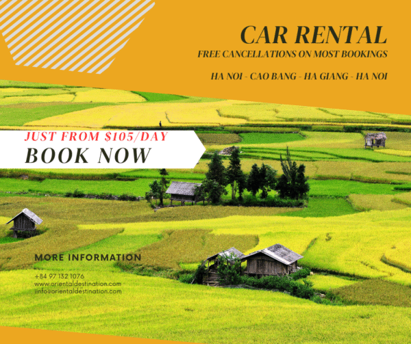 car-rental-1