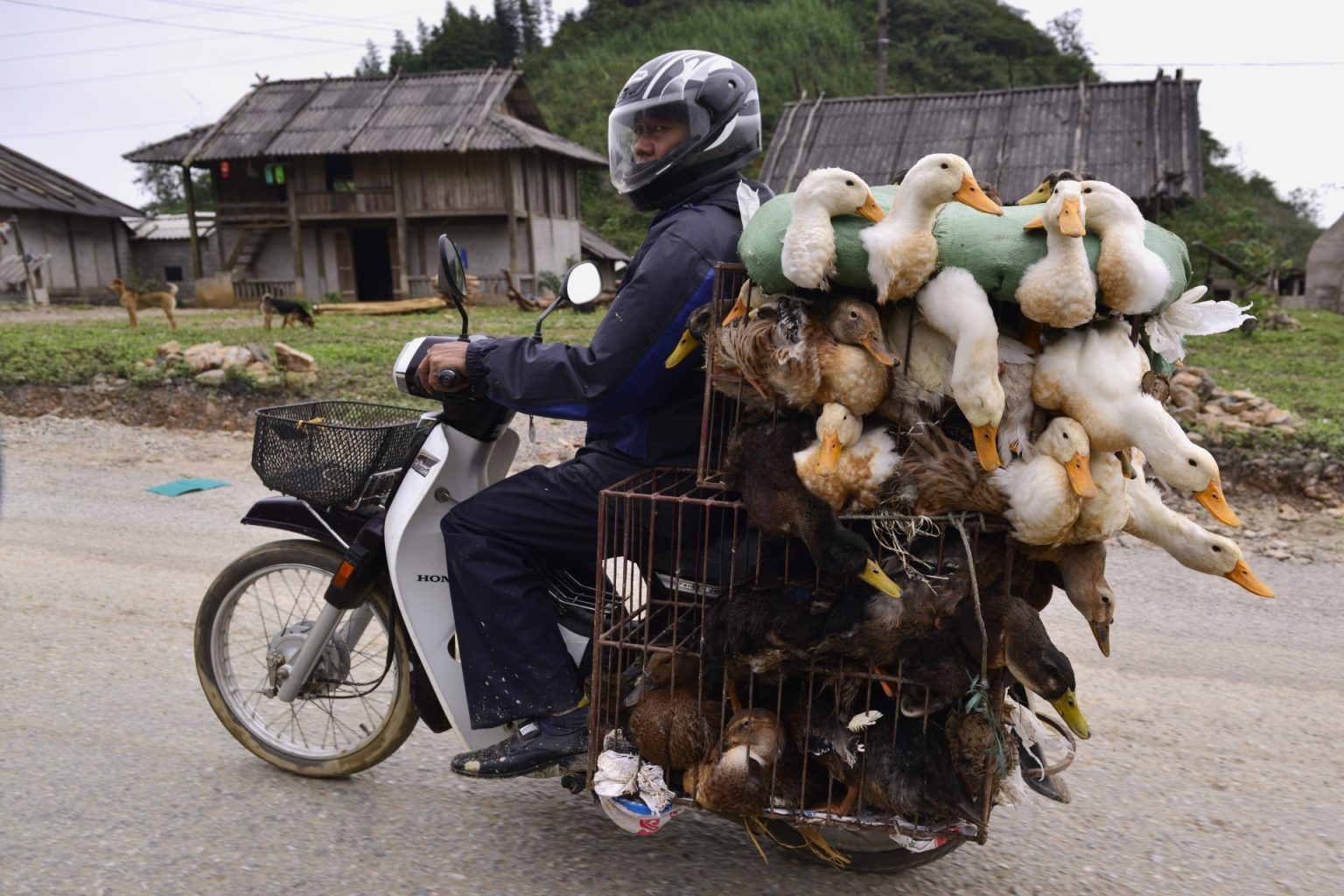 ha-giang-07